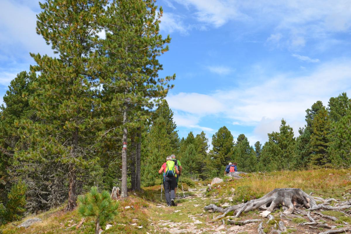 Platzer Alm 20.08.2022